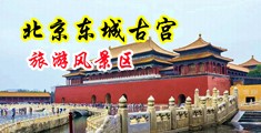 永久黄网站色视频免费无码水蜜桃中国北京-东城古宫旅游风景区
